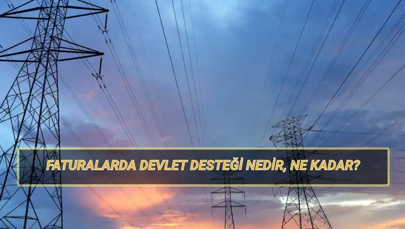 2025’te Doğalgaz ve Elektrik Faturası İçin Devlet Desteği Alacaklar Kimler?